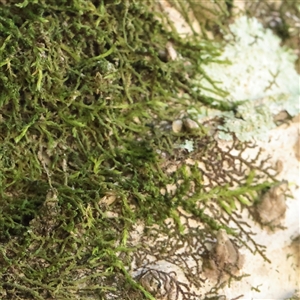 Unverified at suppressed - suppressed