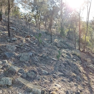 Unverified at suppressed - suppressed