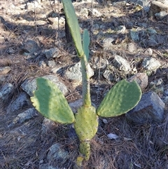 Unverified at suppressed - suppressed