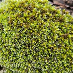 Unverified at suppressed - suppressed