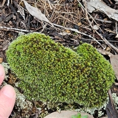 Unverified at suppressed - suppressed