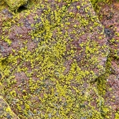 Unverified at suppressed - suppressed