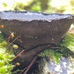 Unverified at suppressed - suppressed