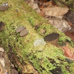 Unverified at suppressed - suppressed