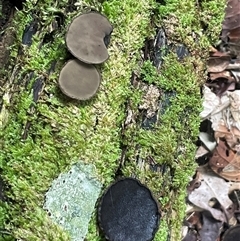 Unverified at suppressed - suppressed