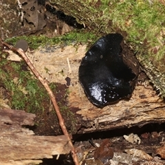 Unverified at suppressed - suppressed