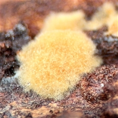 Unverified at suppressed - suppressed