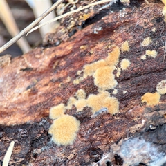 Unverified at suppressed - suppressed