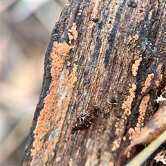 Unverified at suppressed - suppressed