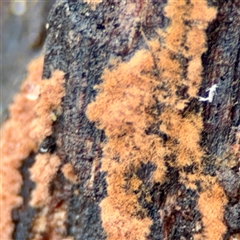 Unverified at suppressed - suppressed