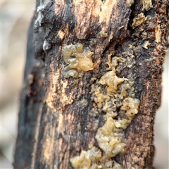 Unverified at suppressed - suppressed