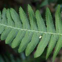 Unverified at suppressed - suppressed