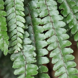 Unverified at suppressed - suppressed