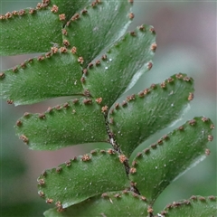 Unverified at suppressed - suppressed