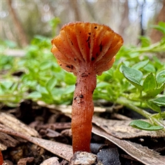 Unverified at suppressed - suppressed