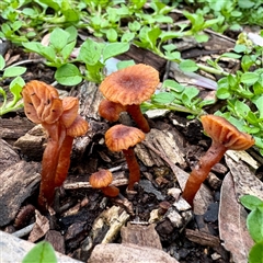 Unverified at suppressed - suppressed