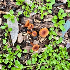 Unverified at suppressed - suppressed