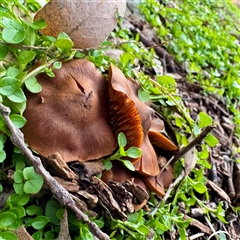 Unverified at suppressed - suppressed