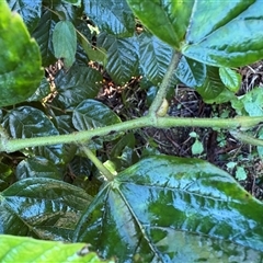 Unverified at suppressed - suppressed