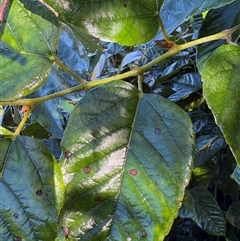 Unverified at suppressed - suppressed