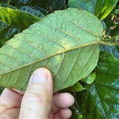 Unverified at suppressed - suppressed