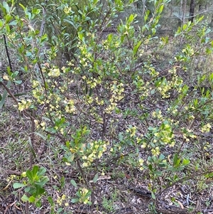 Unverified at suppressed - suppressed