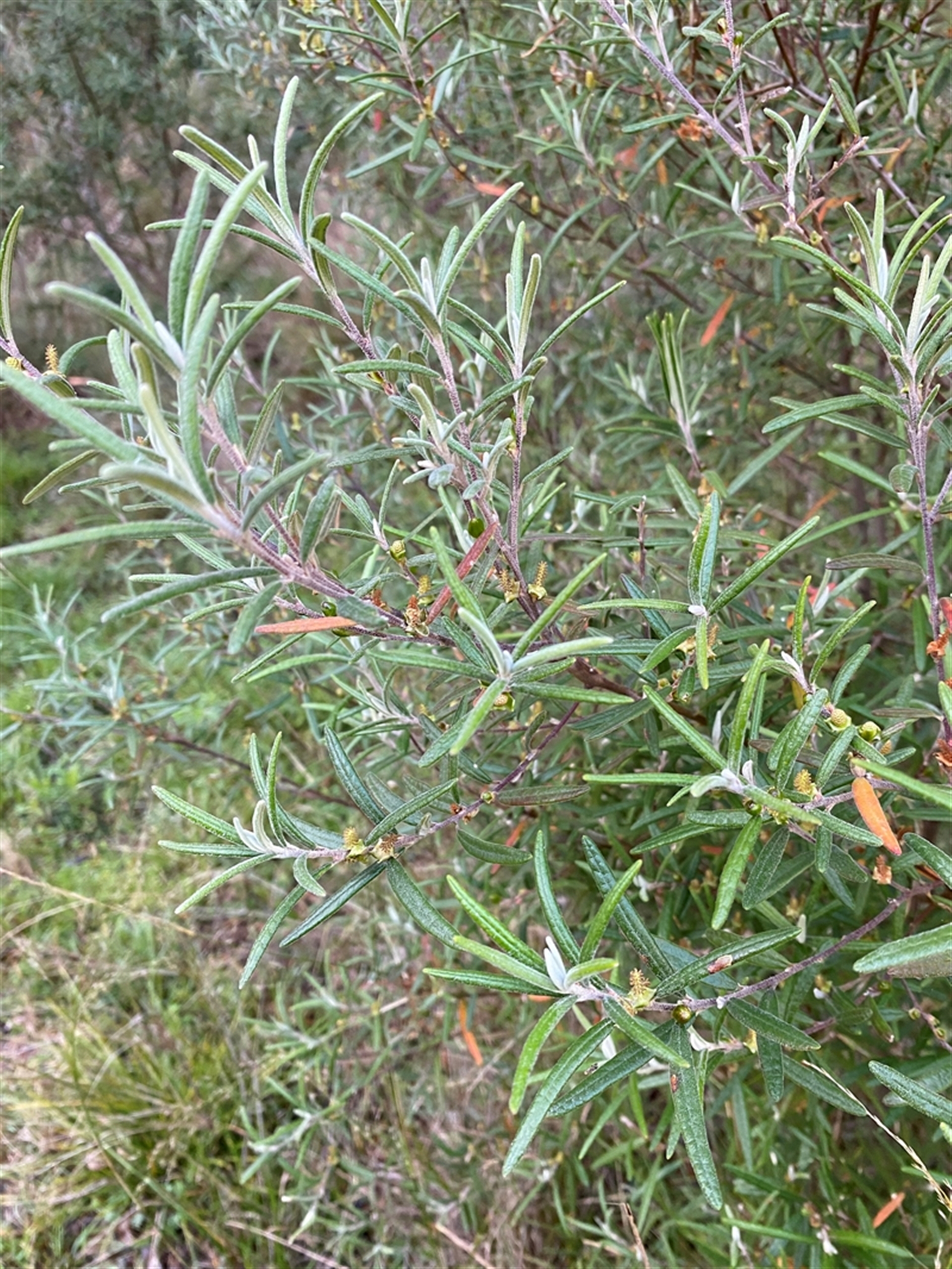 Unverified at suppressed - suppressed