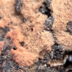 Unverified at suppressed - suppressed