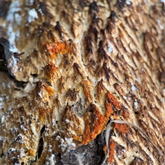 Unverified at suppressed - suppressed