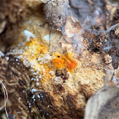 Unverified at suppressed - suppressed