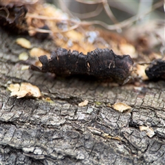 Unverified at suppressed - suppressed