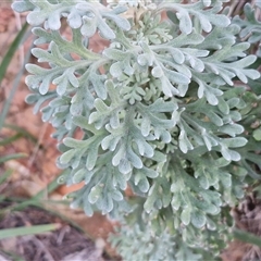 Unverified at suppressed - suppressed