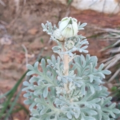 Unverified at suppressed - suppressed