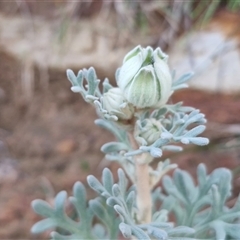 Unverified at suppressed - suppressed