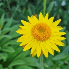 Unverified at suppressed - suppressed