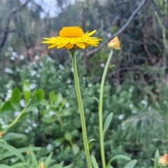 Unverified at suppressed - suppressed