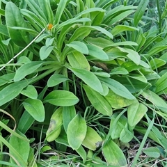 Unverified at suppressed - suppressed