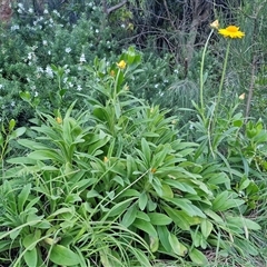 Unverified at suppressed - suppressed