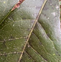 Unverified at suppressed - suppressed