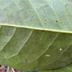 Unverified at suppressed - suppressed