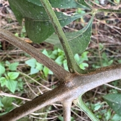 Unverified at suppressed - suppressed