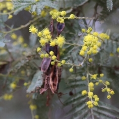 Unverified at suppressed - suppressed