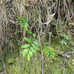 Unverified at suppressed - suppressed