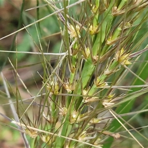 Unverified at suppressed - suppressed