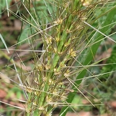 Unverified at suppressed - suppressed