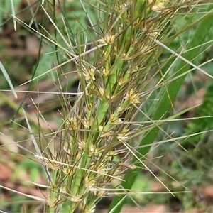 Unverified at suppressed - suppressed