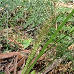 Unverified at suppressed - suppressed