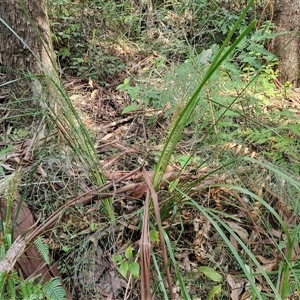 Unverified at suppressed - suppressed