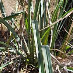 Unverified at suppressed - suppressed