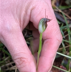 Unverified at suppressed - suppressed